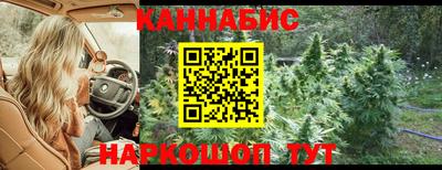 прущие крисы Заводоуковск