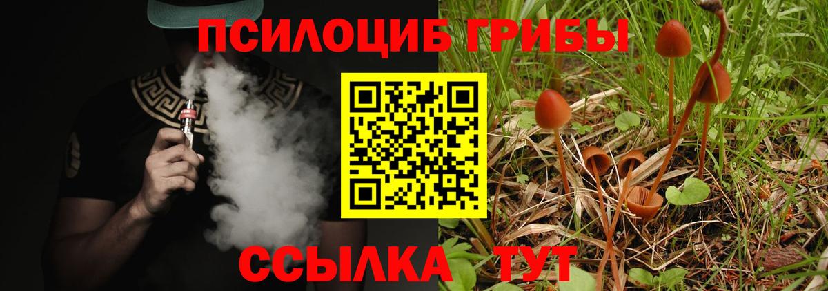 купить наркоту  Вход с VPN  Краснотурьинск  Псилоцибиновые грибы прущие грибы 